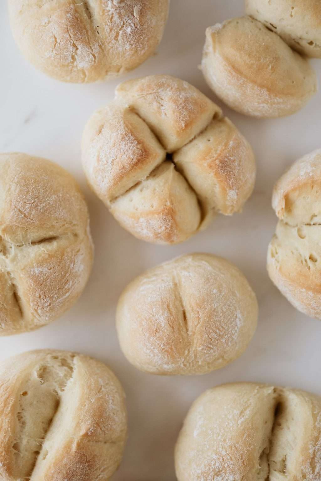 Home – Option 3 – Brioche
