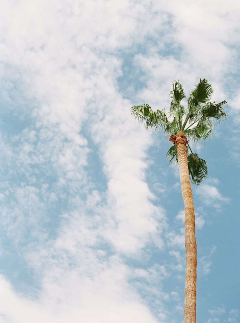 The Best Coastal Towns in California