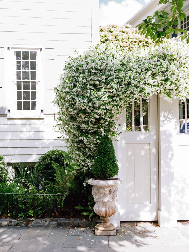 Home Tour: a Charming Nantucket Cottage