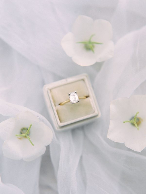 haute-stock-styled-stock-photo-subscription-love-in-bloom-final-21