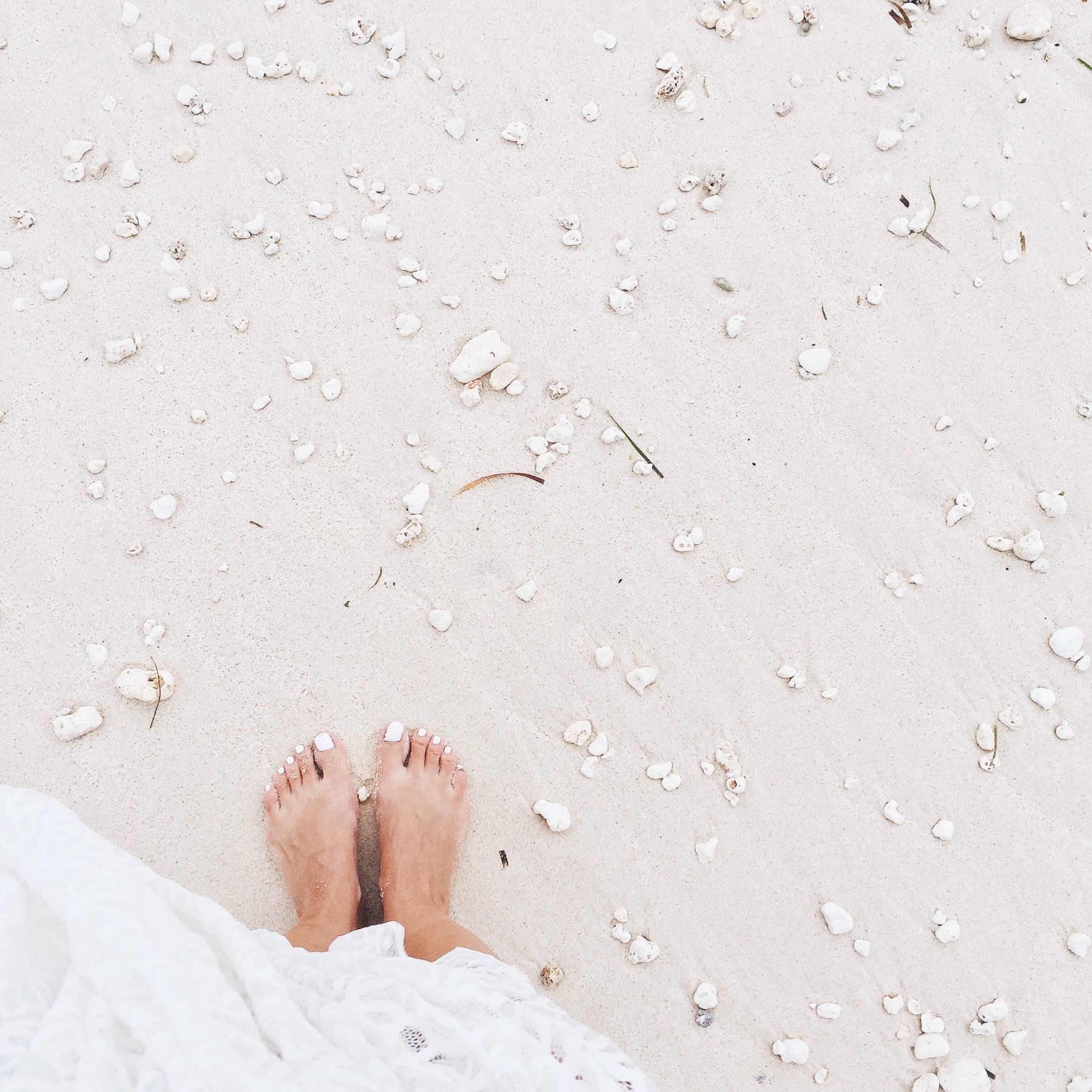 Where to Eat, Stay & Explore on Amelia Island