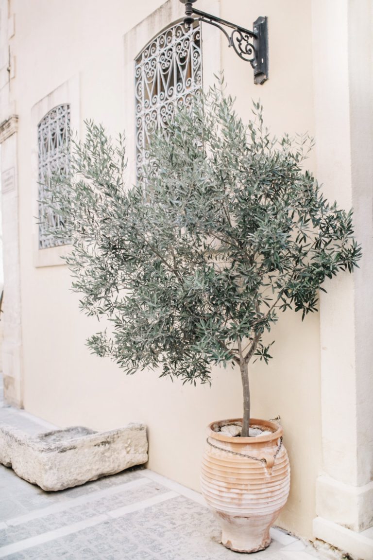 A Guide to the Most Charming Cafes in Florence