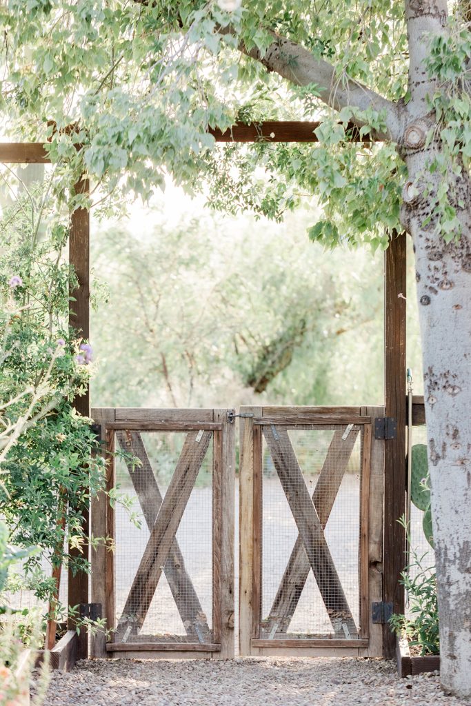 The Joy of Growing Your Own Food