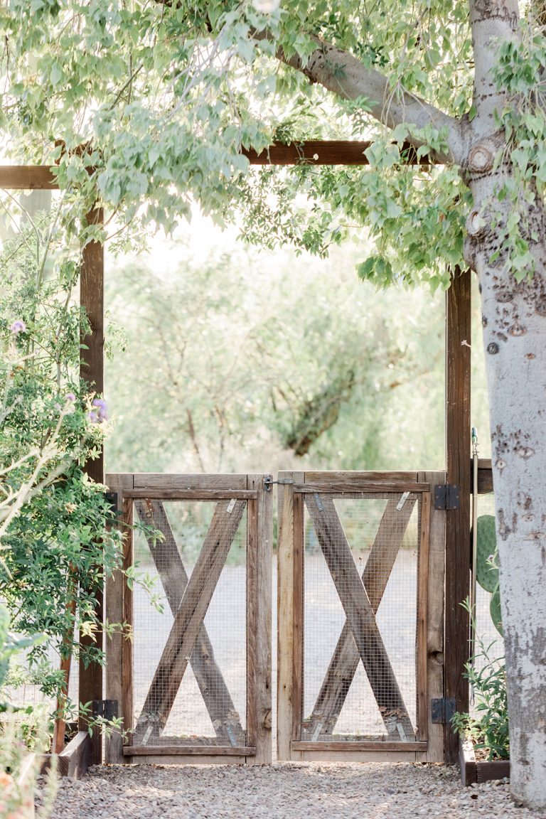 The Joy of Growing Your Own Food